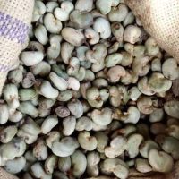 Home benin origin raw cashew nuts 290