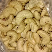 Home cashew 10