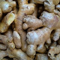 Home ginger 7888804 1280 401fde08 79a0 4283 addd 730e9bd04fbb